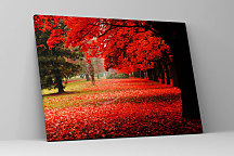 Obraz Čaro jesene 1588